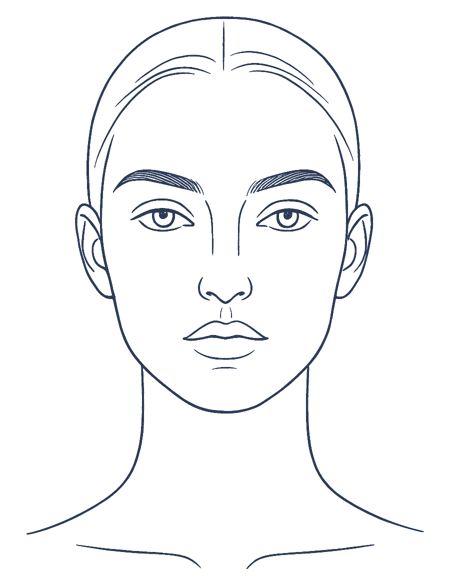 Line drawing of a face seen from the front, with the three facial thirds
